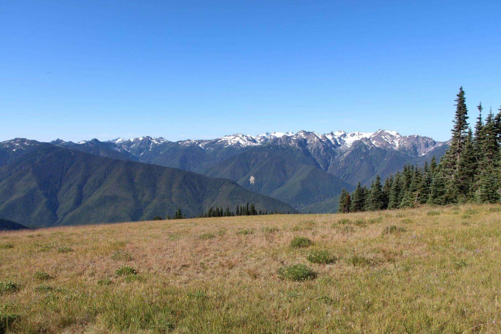 the-average-conservationist-podcast