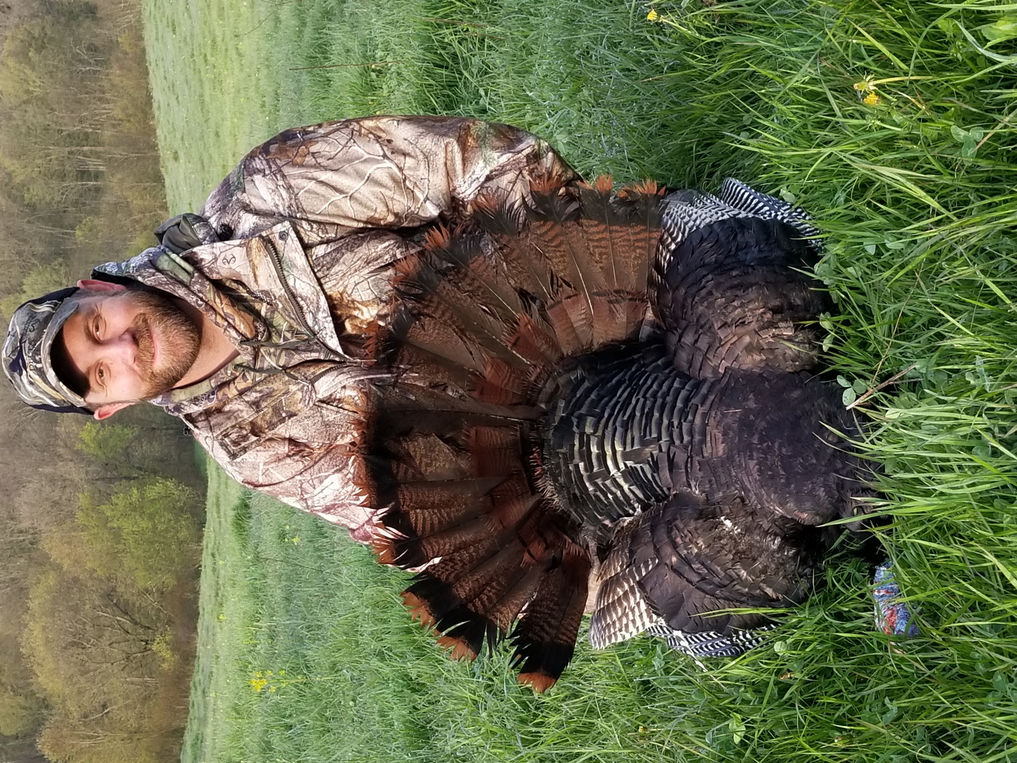 Wisconsin Turkey Hunting Seasons - 96ii8b9