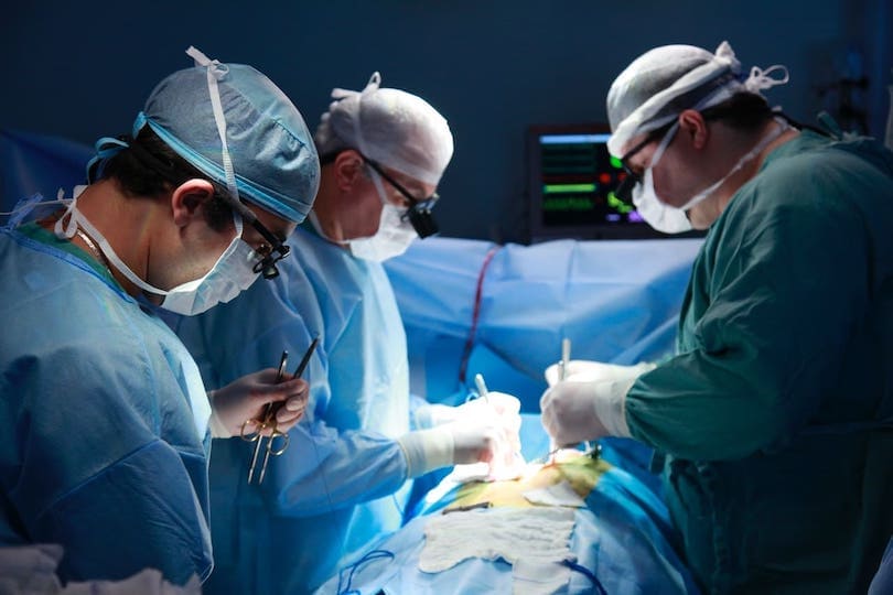 Organspende Pro und Contra
