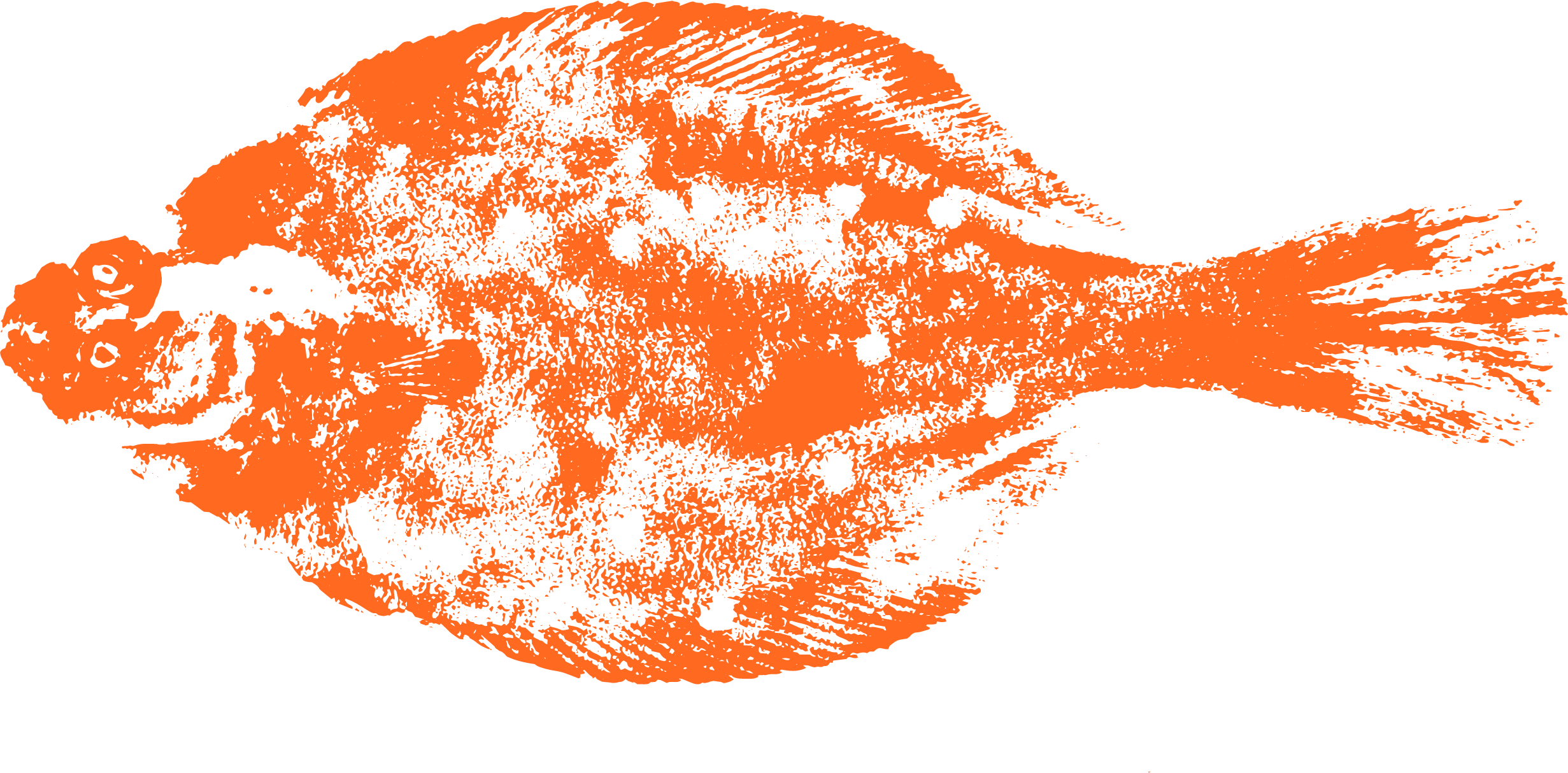 Oranje gyotaku afdruk van 'pladijs'.