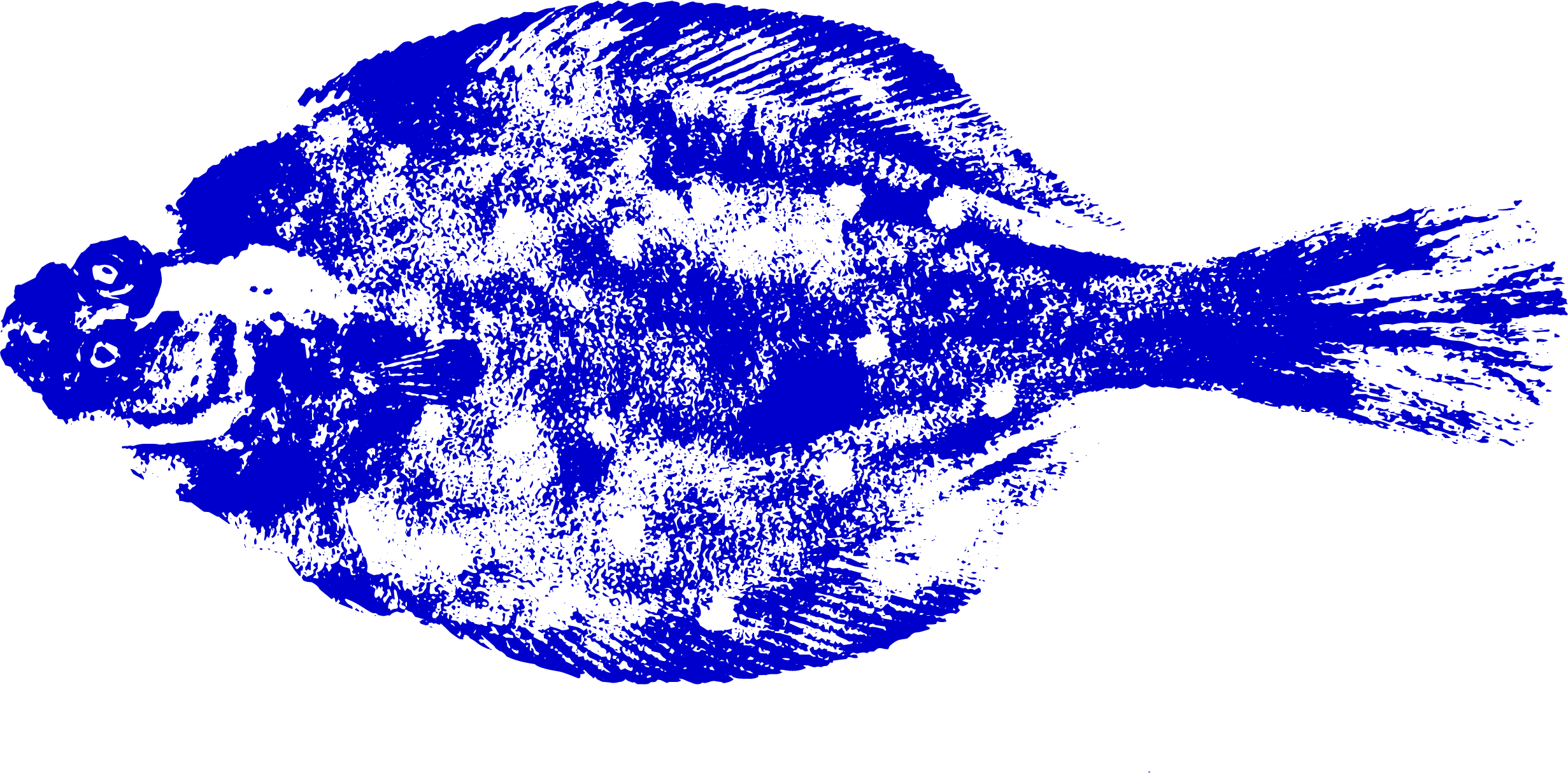 Blauwe gyotaku afdruk van een pladijs.