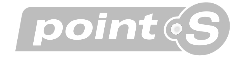 point s