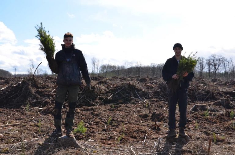 Dryads Gründer Louis und David beim Bäume pflanzen