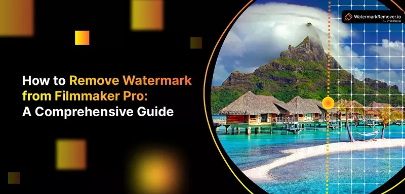 Remove Watermark From Filmmaker Pro