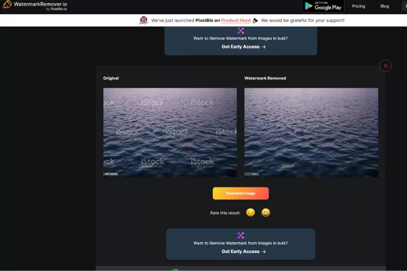 Last and Final Step to Download image without watermark
