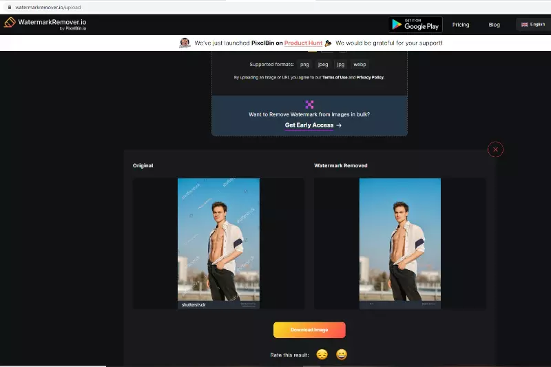 Last and Final Step to Download mage without Watermark