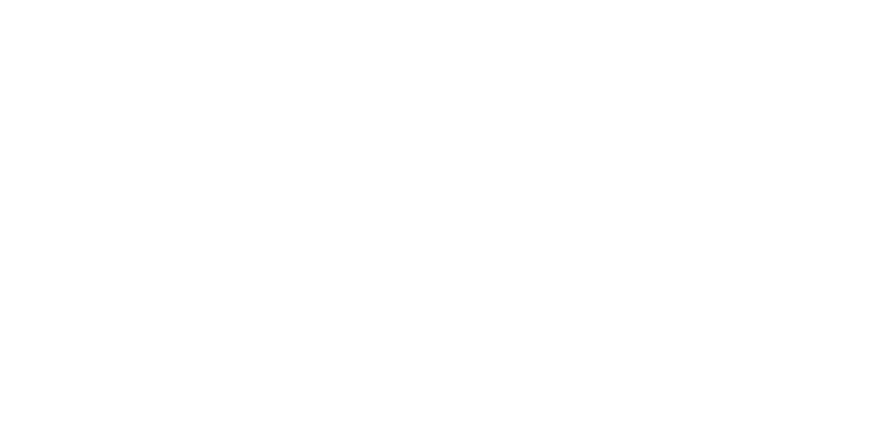 NetZero Capital