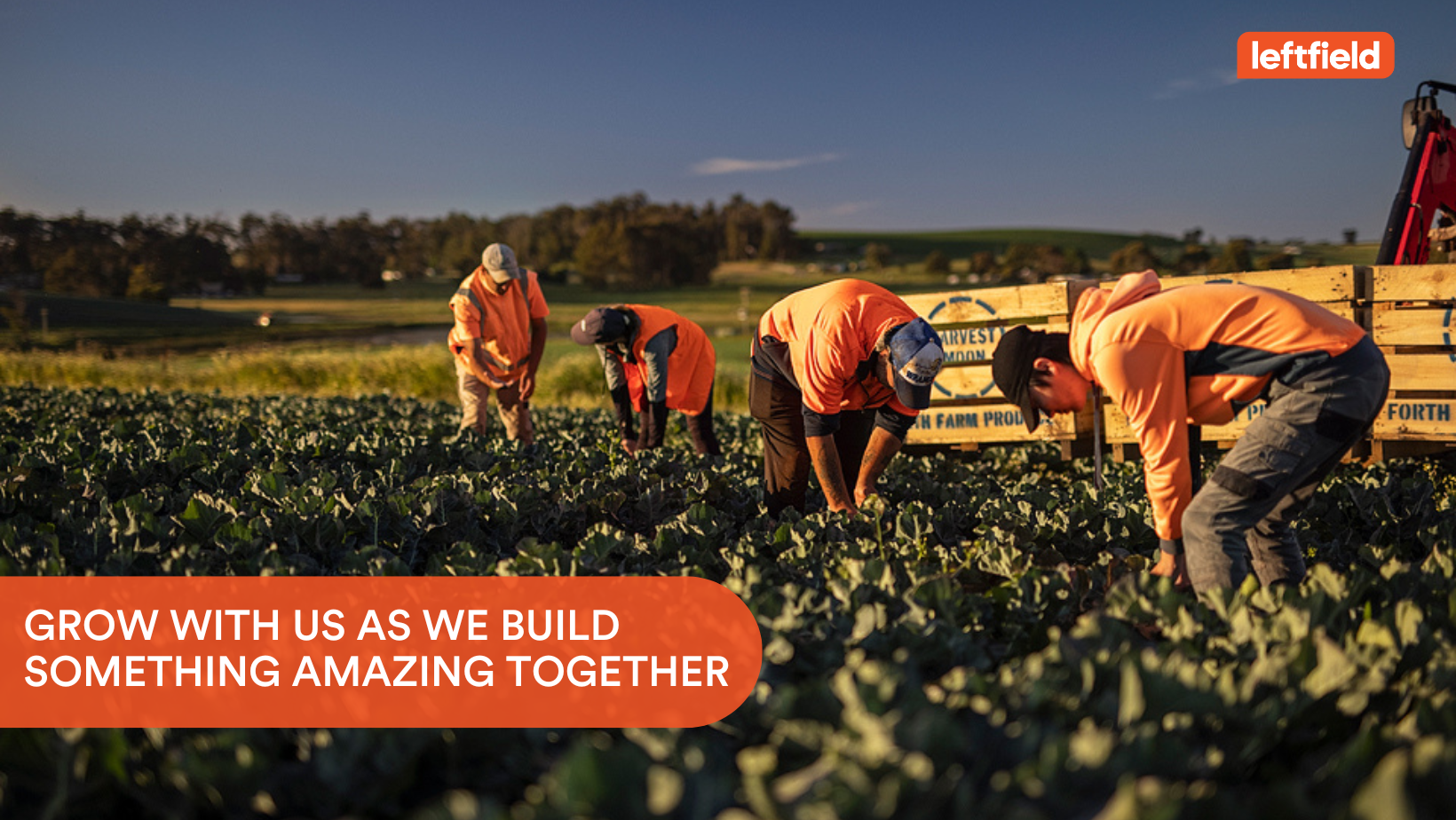 Broccolini Planting (Cuprona, TAS) Left Field in Tasmania Jobs