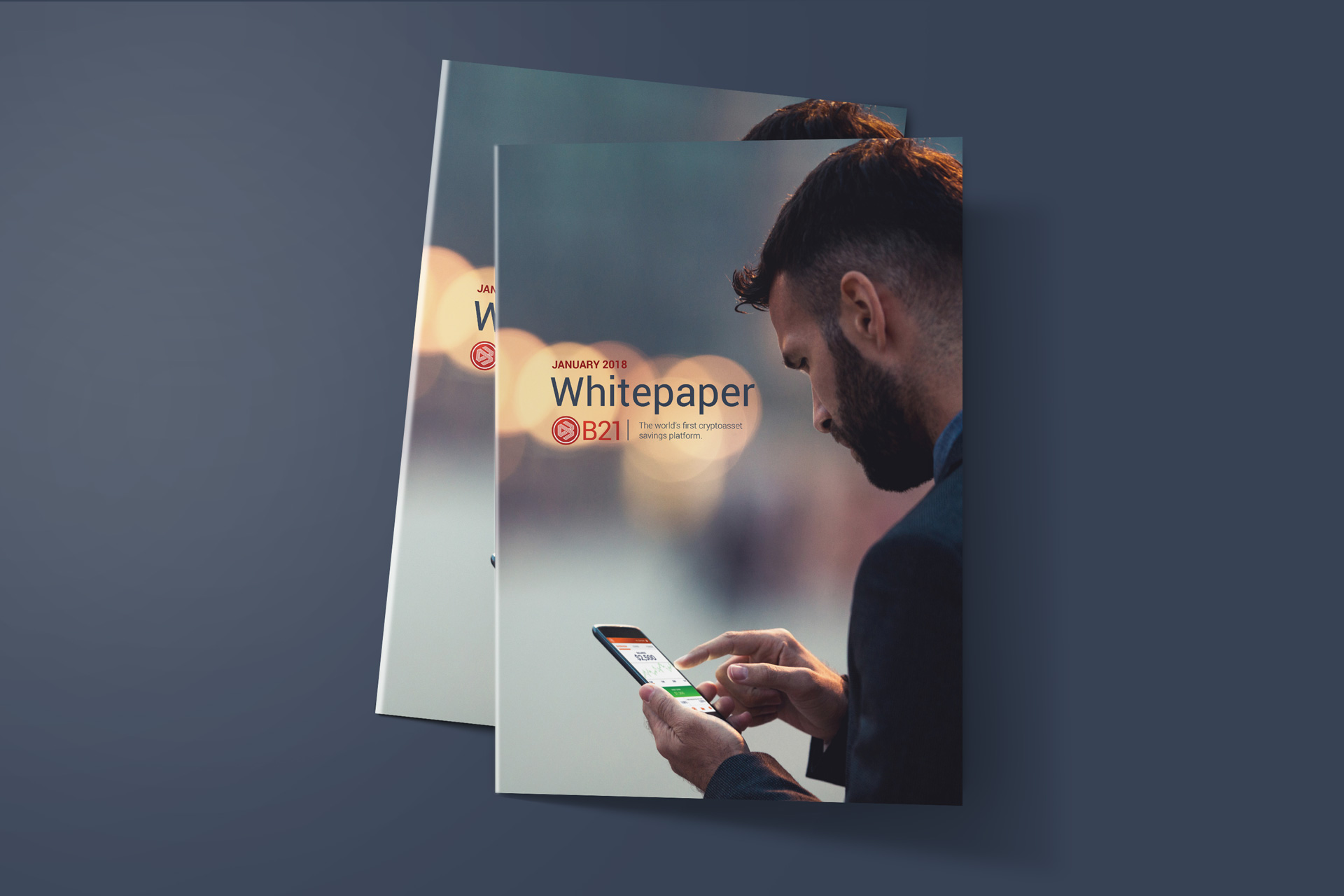 b21 case study white paper