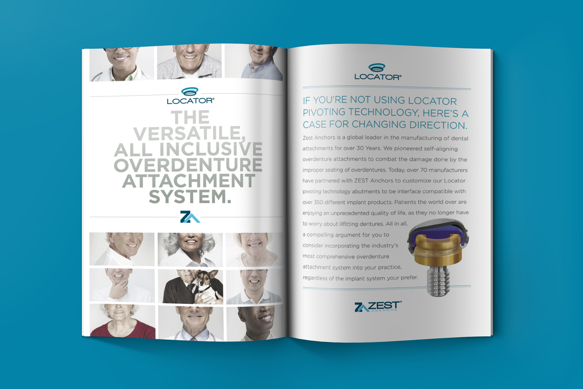 zest case study brochure