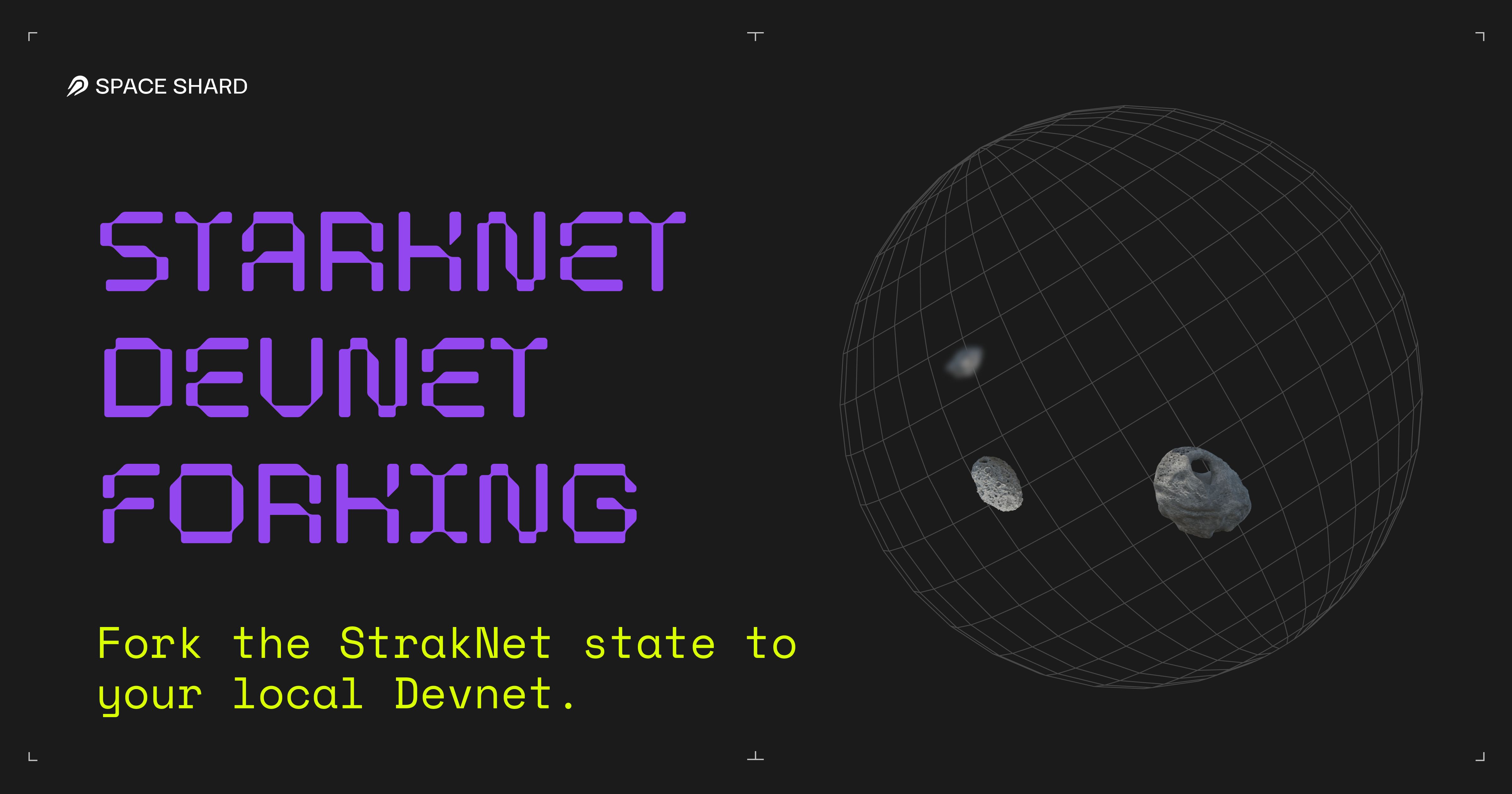 StarkNet Devnet Forking