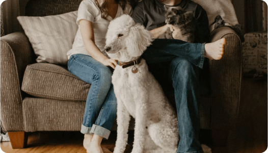 humans and dogs sitting on couch