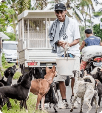 Image of men and dogs