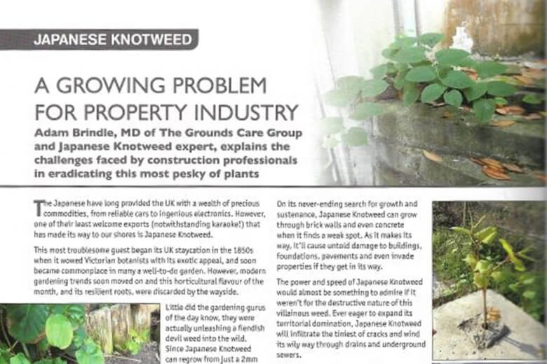 Building Engineer Magazine publishes article on Knotweed