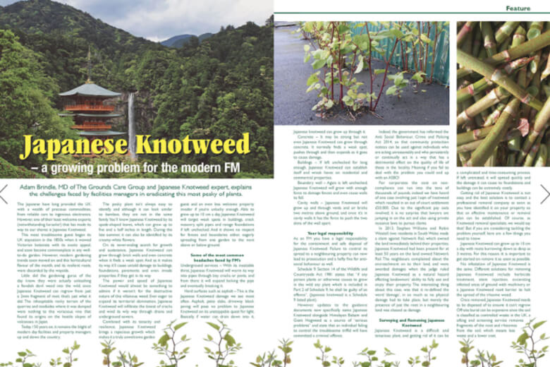 Read about Japanese Knotweed in FMUK magazine