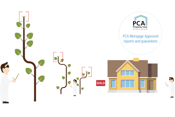 Residential Graphic