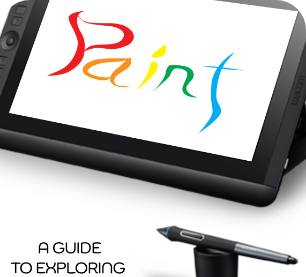 A cover of my book on digital art, Paint 