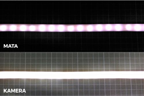 DIY LED neon flex menggunakan selang silicon biasa