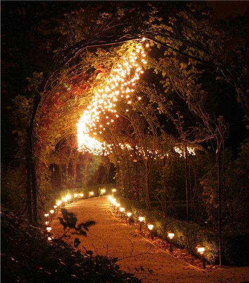 fairy tumblr light