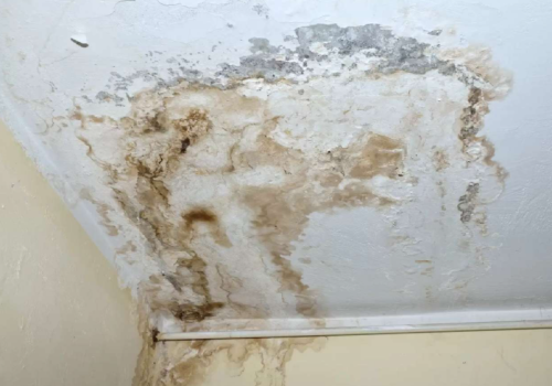Gambar contoh langit-langit gypsum yang berjamur
