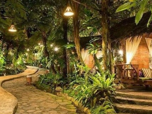 tropical cafe