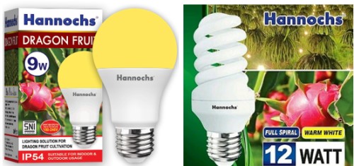 lampu kuning buah naga hannochs