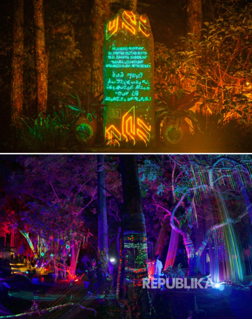 video projection tahura