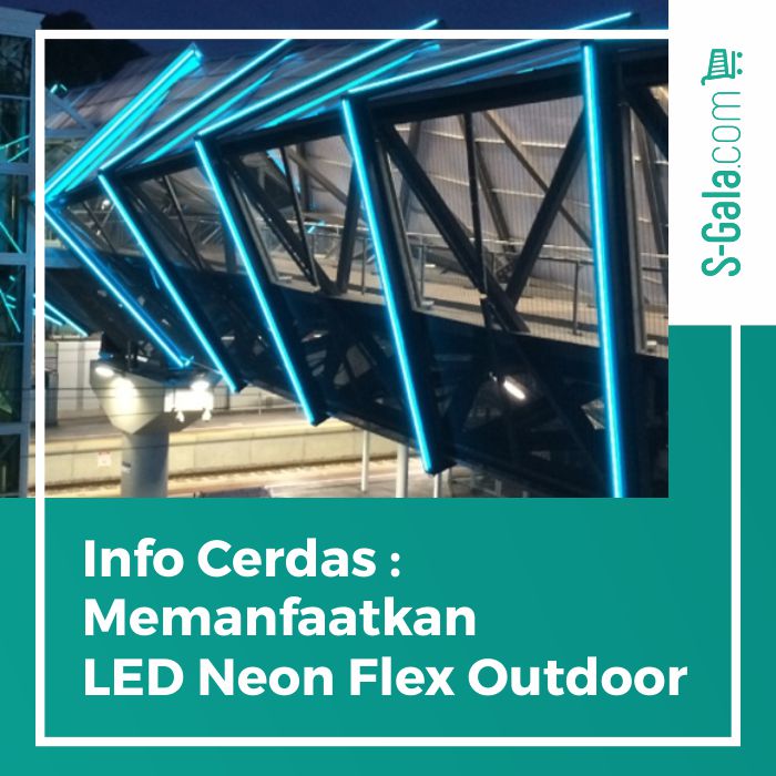 LED Neon Flex Outdoor