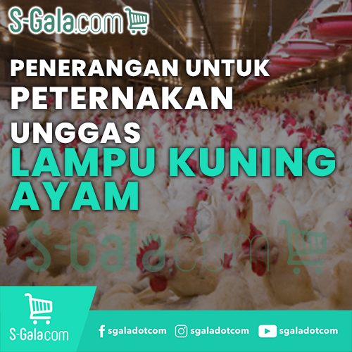 Cover Lampu Kuning Ayam