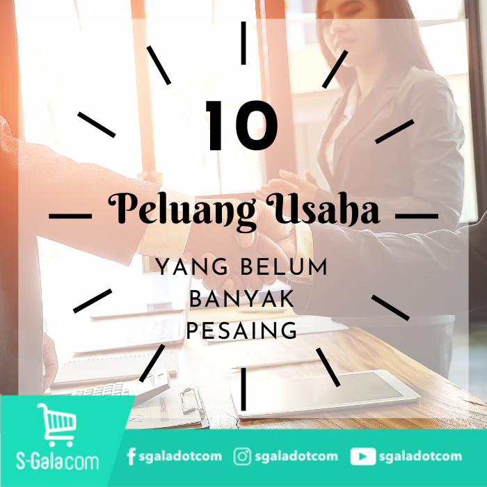Cover Peluang Usaha yang Belum Banyak Pesaing