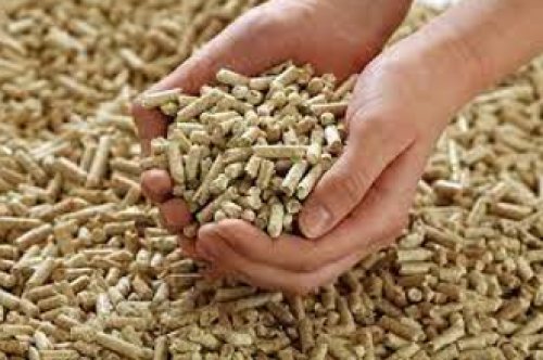 Wood Pellet