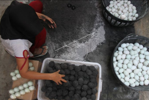 Usaha telur asin modal 300 ribu