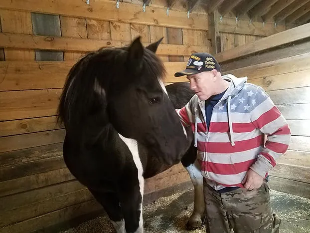 Horse in Stable