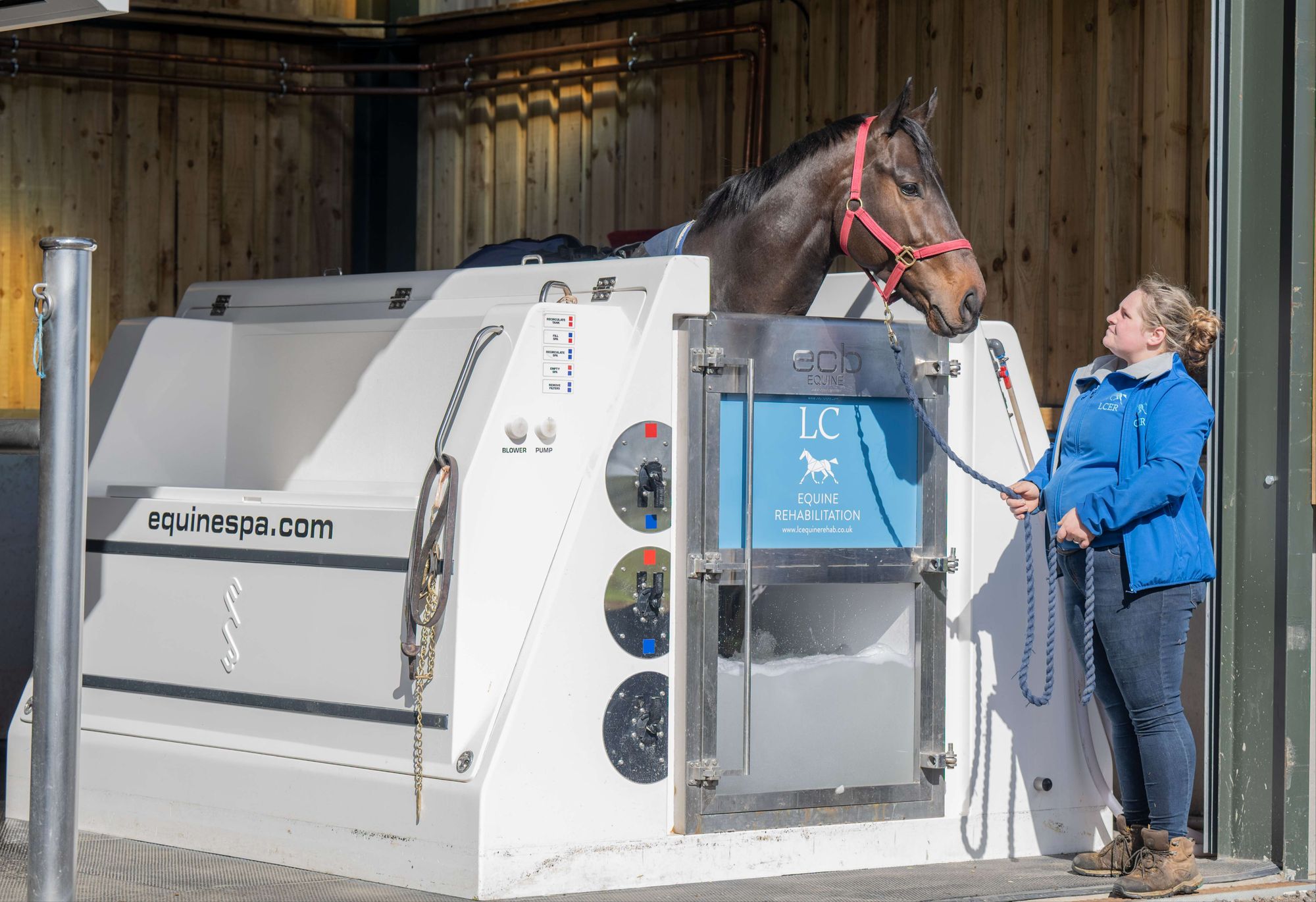 facilities-lc-equine-rehabilitation