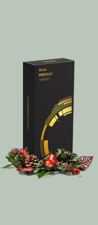 Premium DNA Test - Christmas