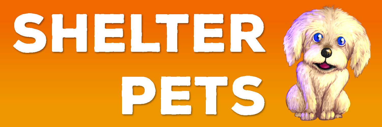 shelter_pets_NFT