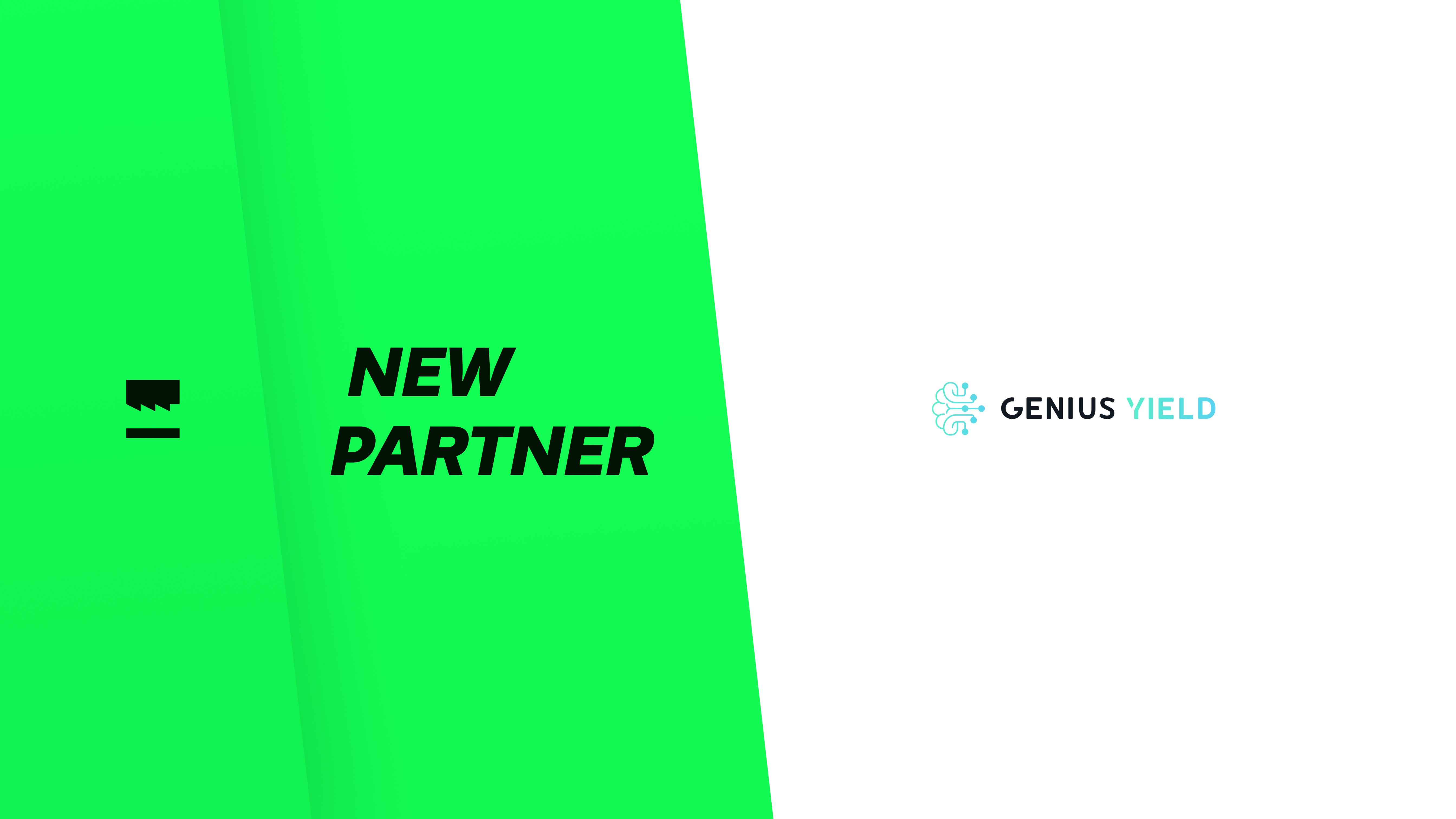Genius Yield X NMKR