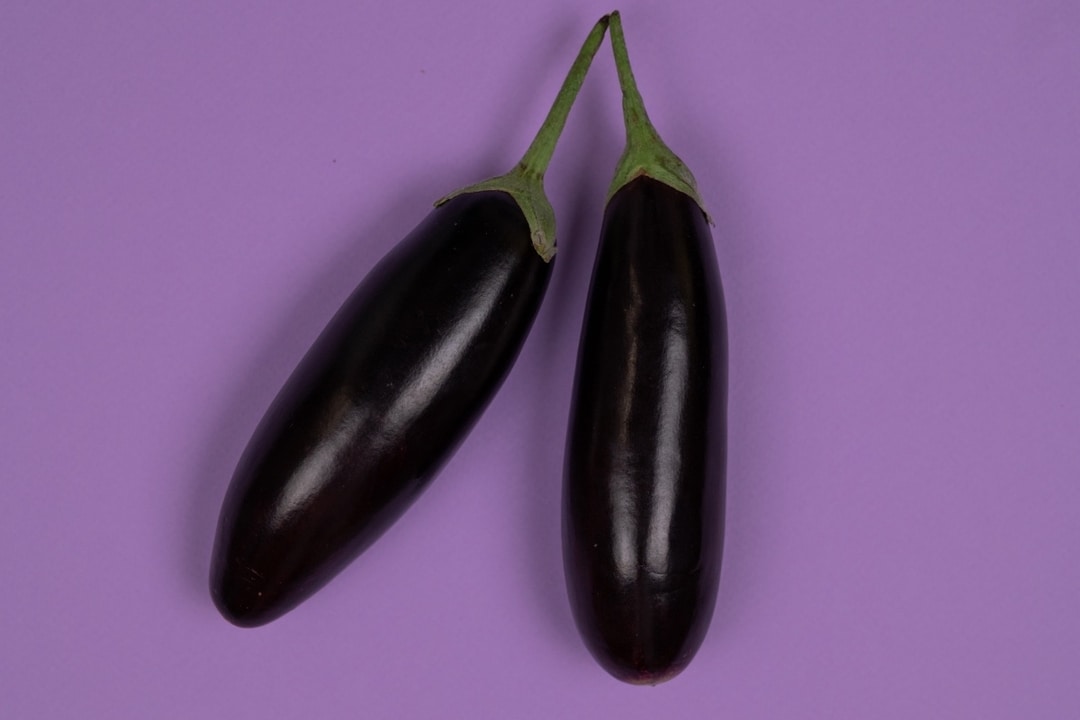 Diphallia: Everything You Need To Know - PHOENIX | Rise Again