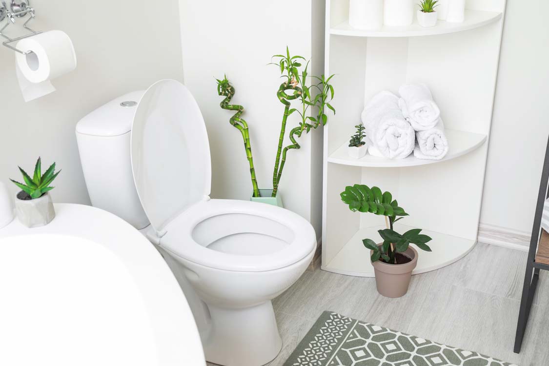 Déboucher canalisation wc soi-même : nos conseils
