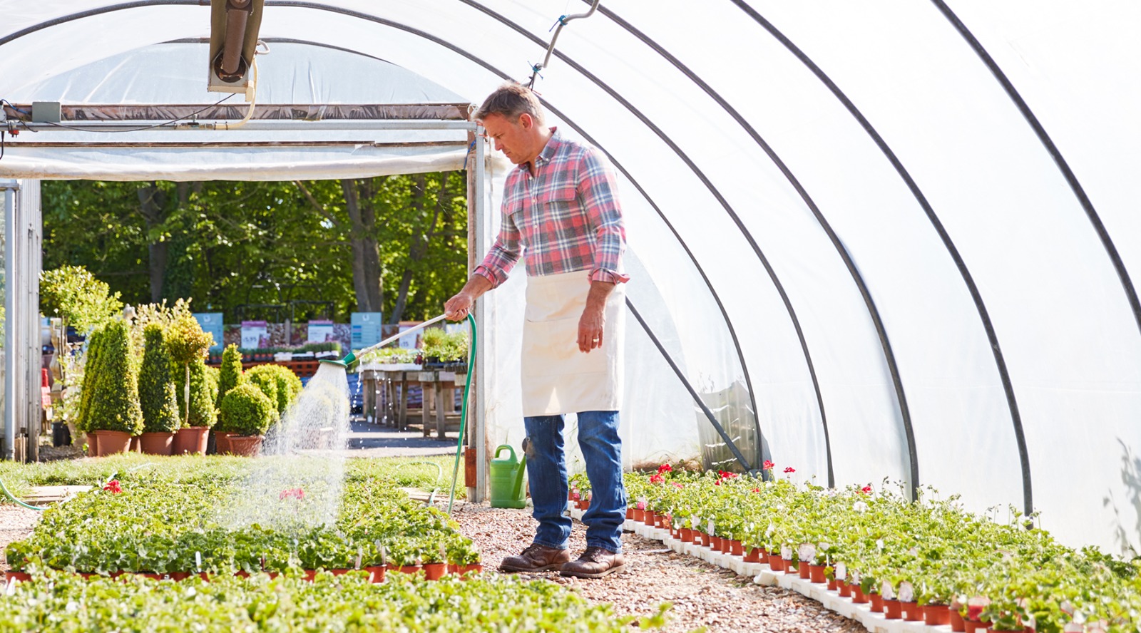 Implementing ESG practices in the agriculture and food industry