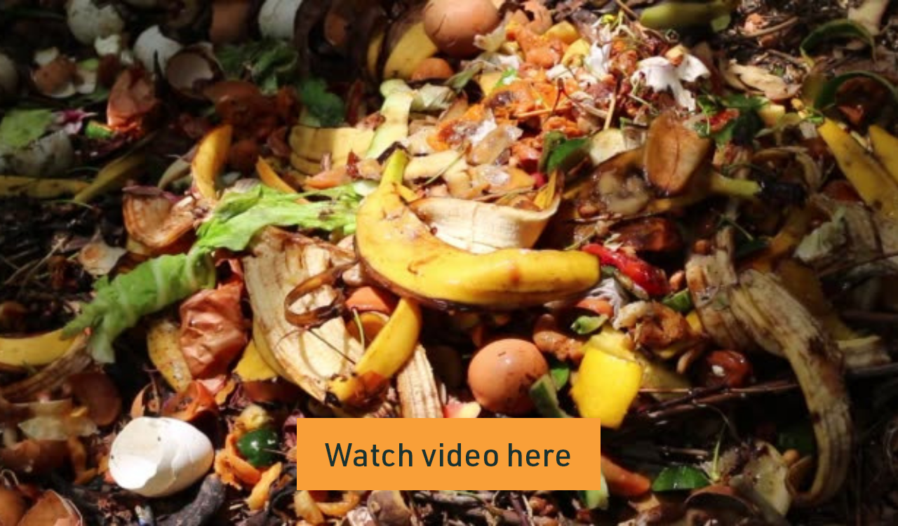 New life for food waste