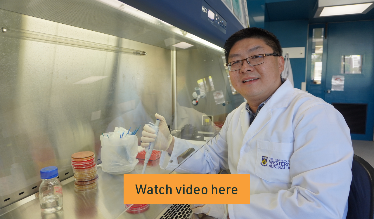 Discovering the Role of Bacterial Interactions in the Human Upper Respiratory Tract