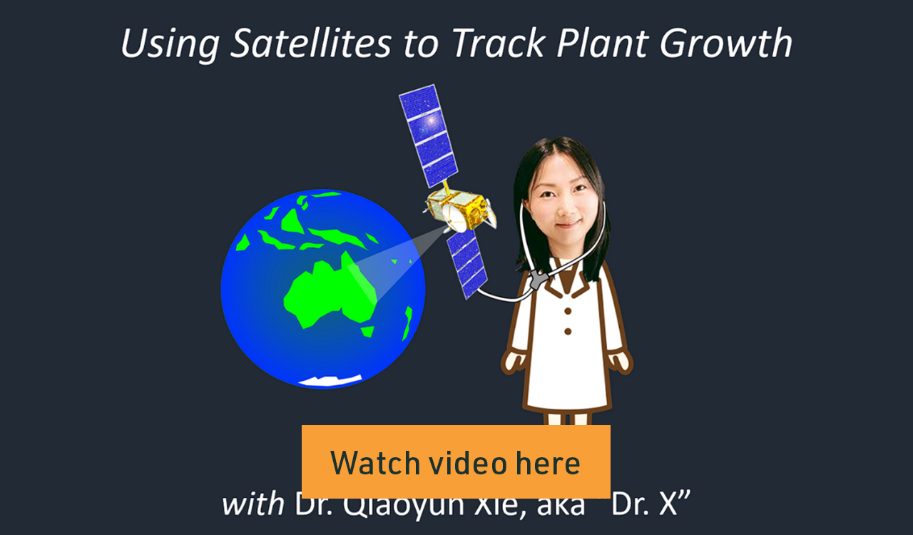 Using satellites to track plant growth