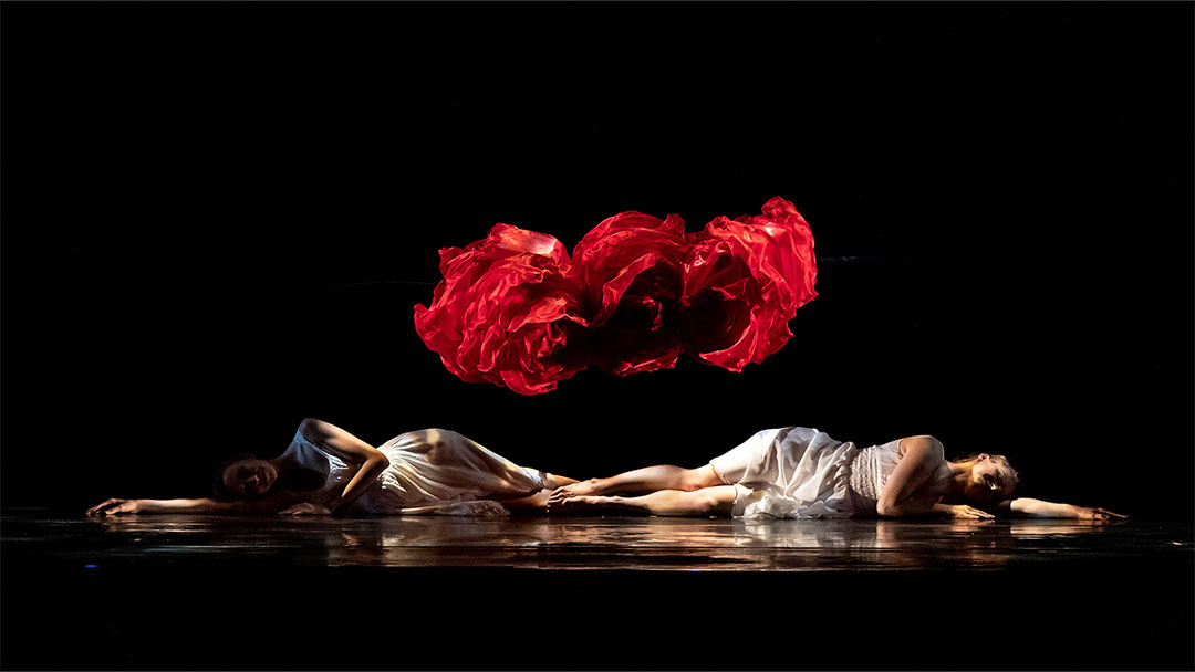 Small photo of Momix in Alice