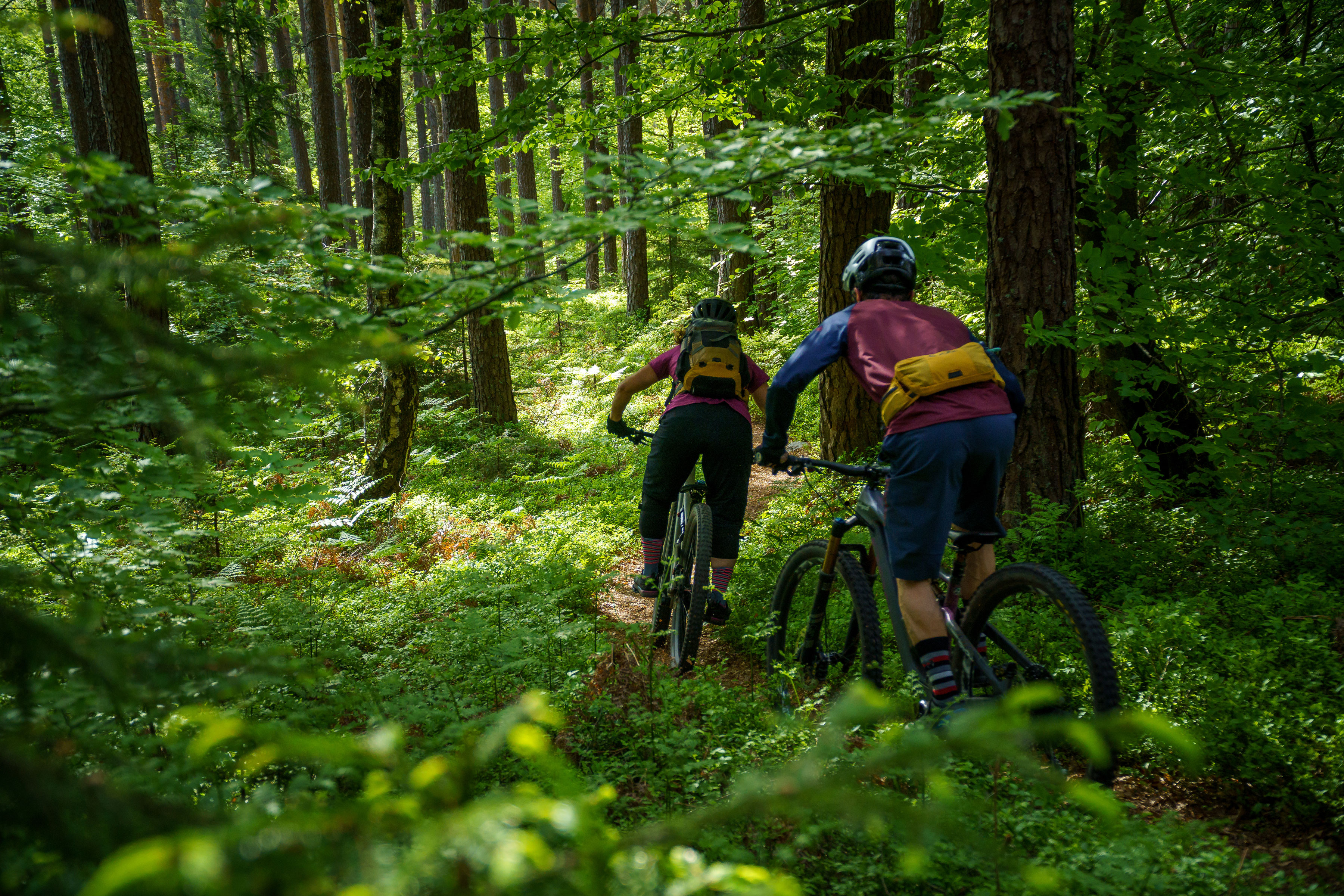 Free Trails – Verein Pro Bike Oberaargau