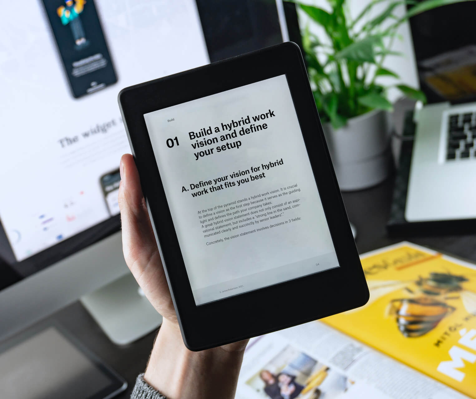 deskbirds ebook on an ereader