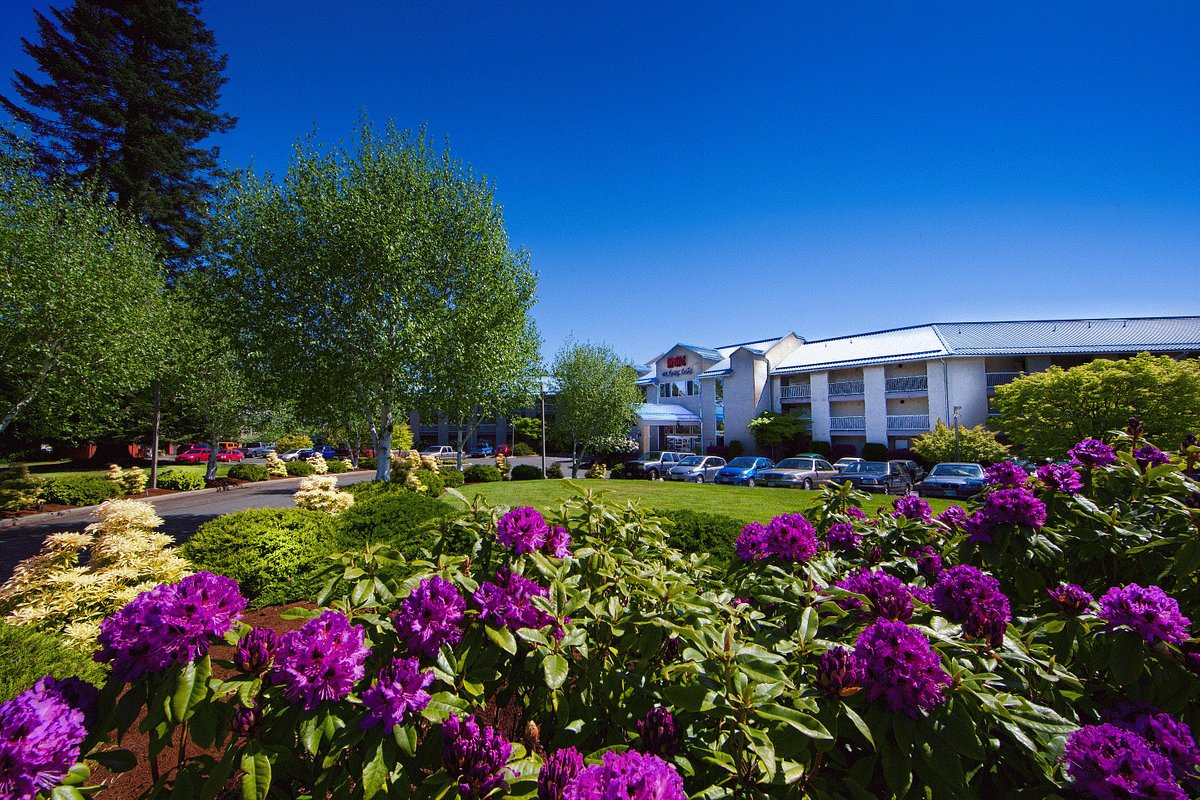 Seasonal flowers outside of inn on long lake property