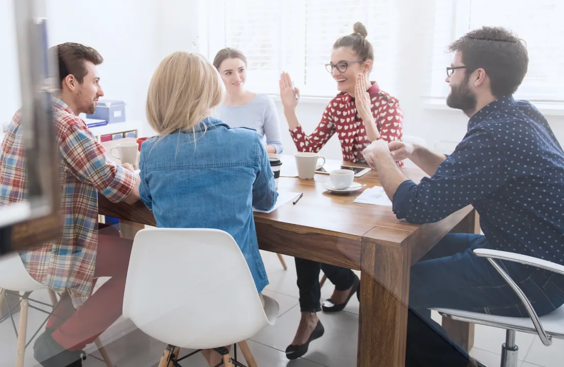 UX Consulting Program