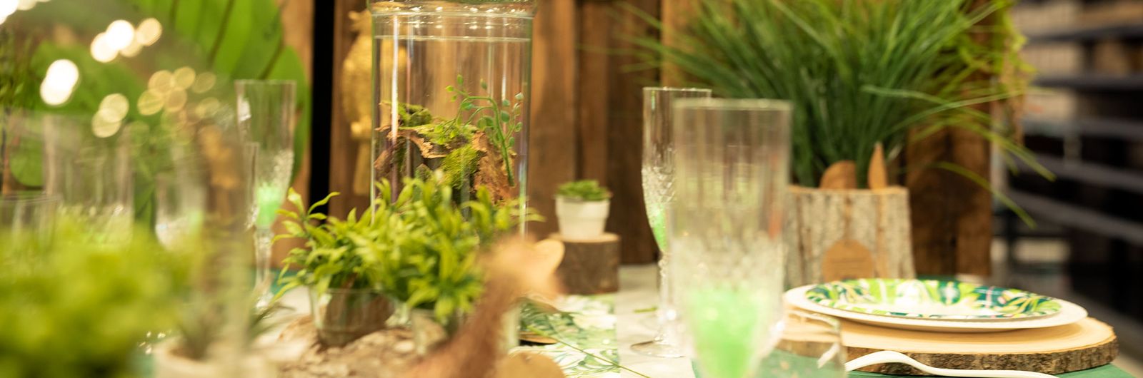 Party Supply Stores Florida Party Tyme