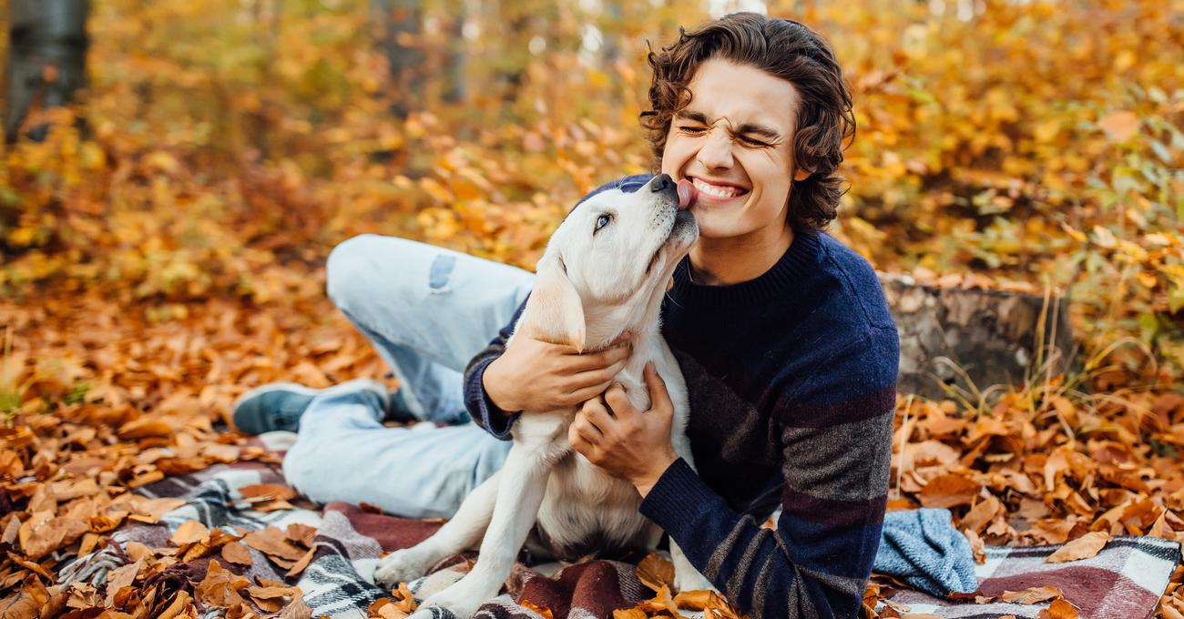 How To Know Your Labrador Loves And Adores You